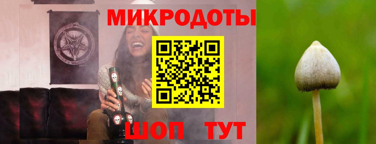 купить   Вход с VPN  Феодосия  Псилоцибиновые грибы Psilocybe  Псилоцибиновые грибы ЛСД 